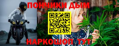 стаф Кунгур