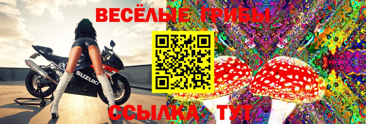 Верхний Уфалей  Псилоцибиновые грибы мицелий  Вход с VPN 